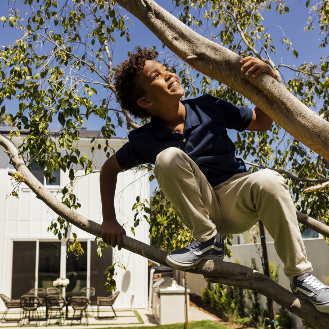 Young student with blue shirt and khaki pants climbs tree in the foreground, with white home in the background