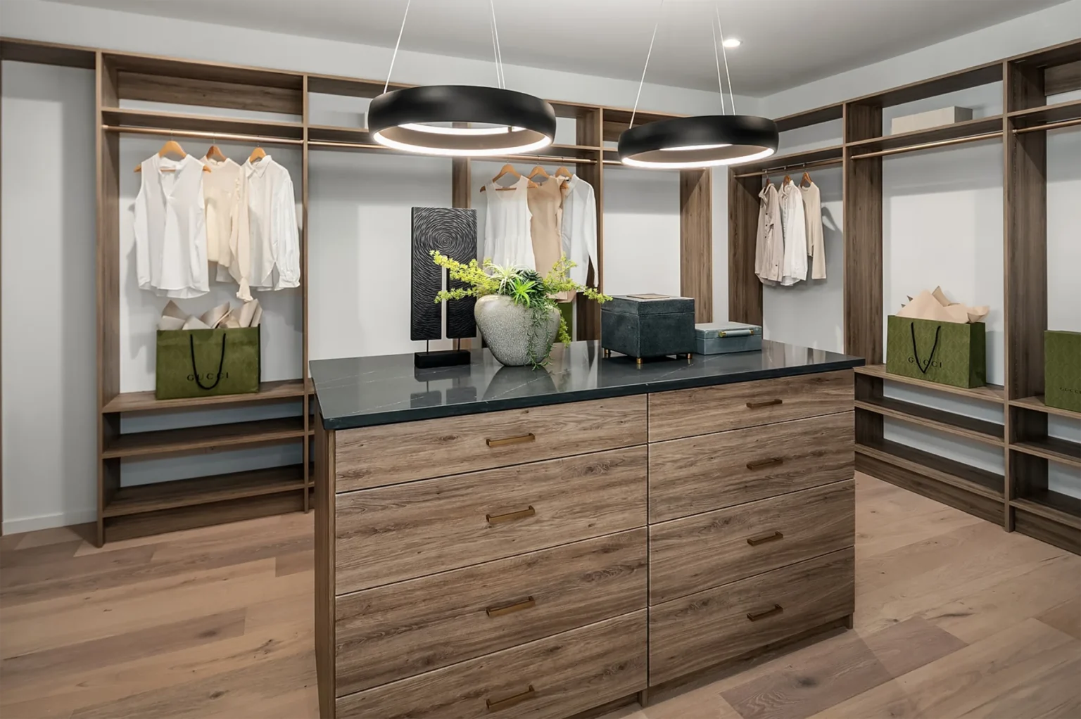 Bellevue Modern Style Home master walk-in closet