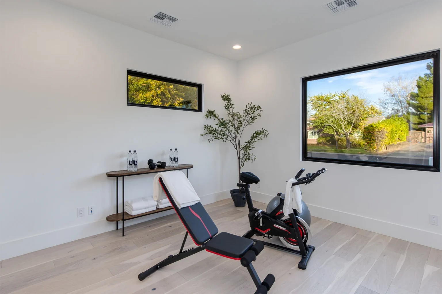 Phoenix Modern Style Home gym with exercise bike