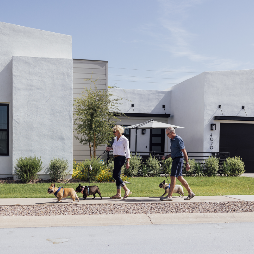 Happy TJH Homeowners walk past their modern home with two french bulldogs