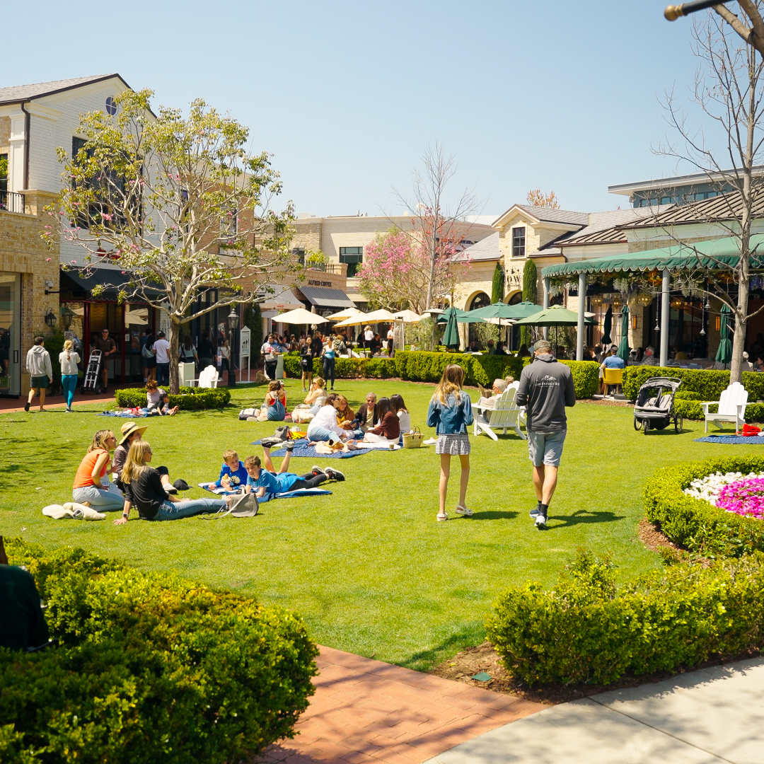 People enjoying an idyllic day outside in Pacific Palisades