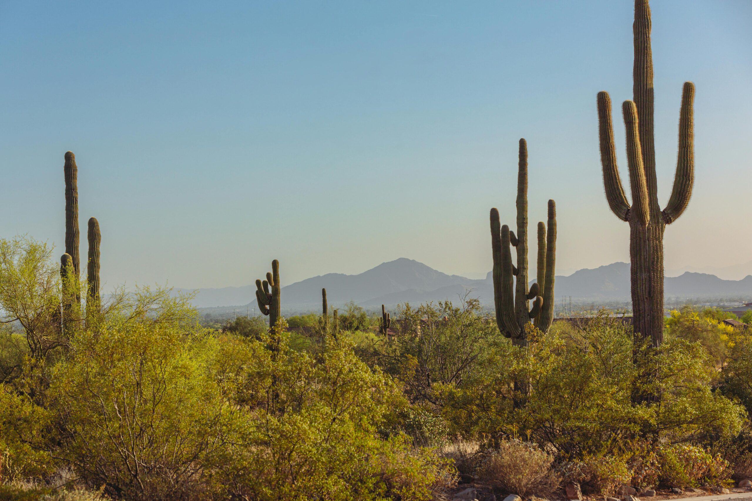 Build your Phoenix, Scottsdale, or Paradise Valley dream home with TJH!