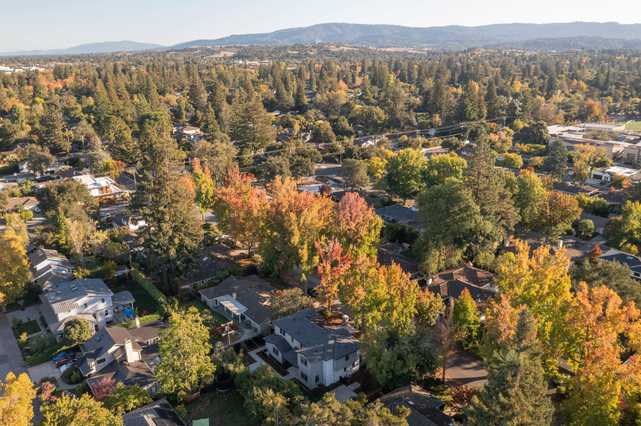 Aerial view of a tree‑filled residential neighborhood with homes surrounded by autumn foliage and hills in the distance.