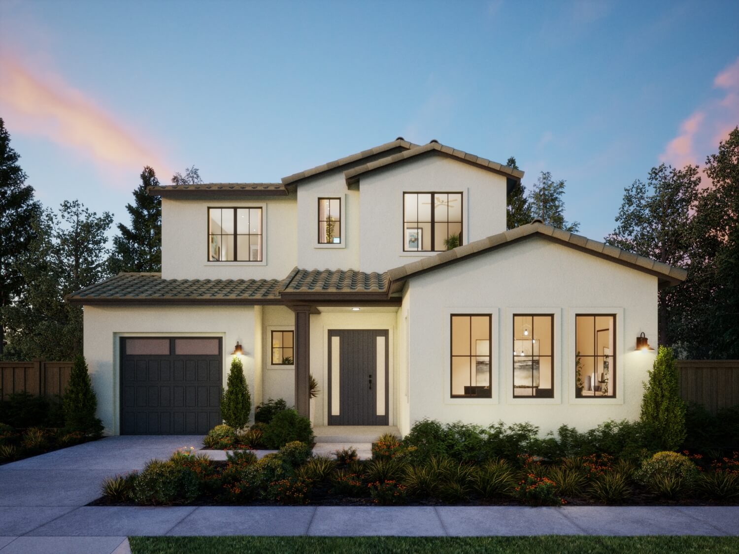 Northern California – Sequoia – Transitional