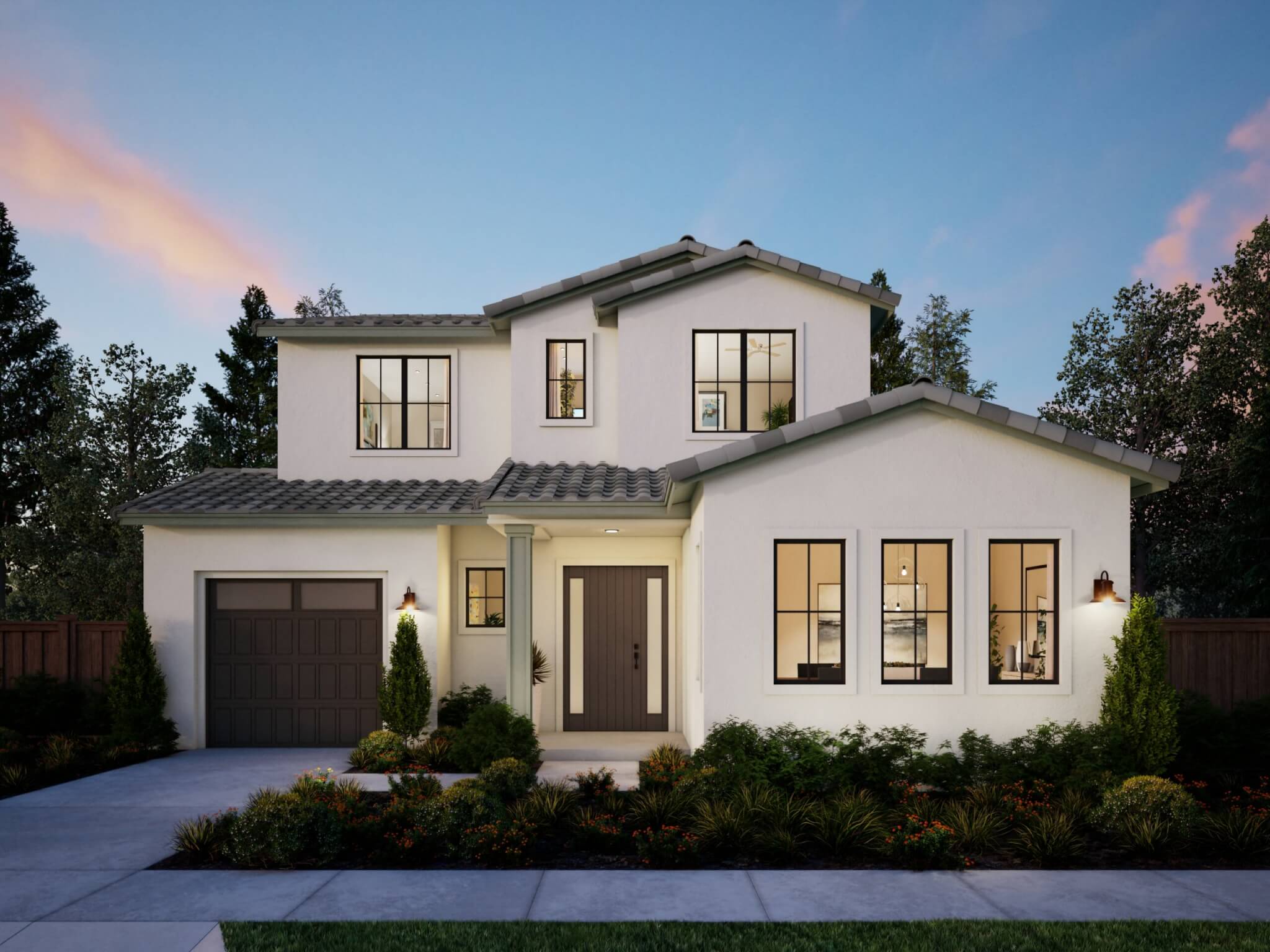 Northern California – Sequoia – Transitional