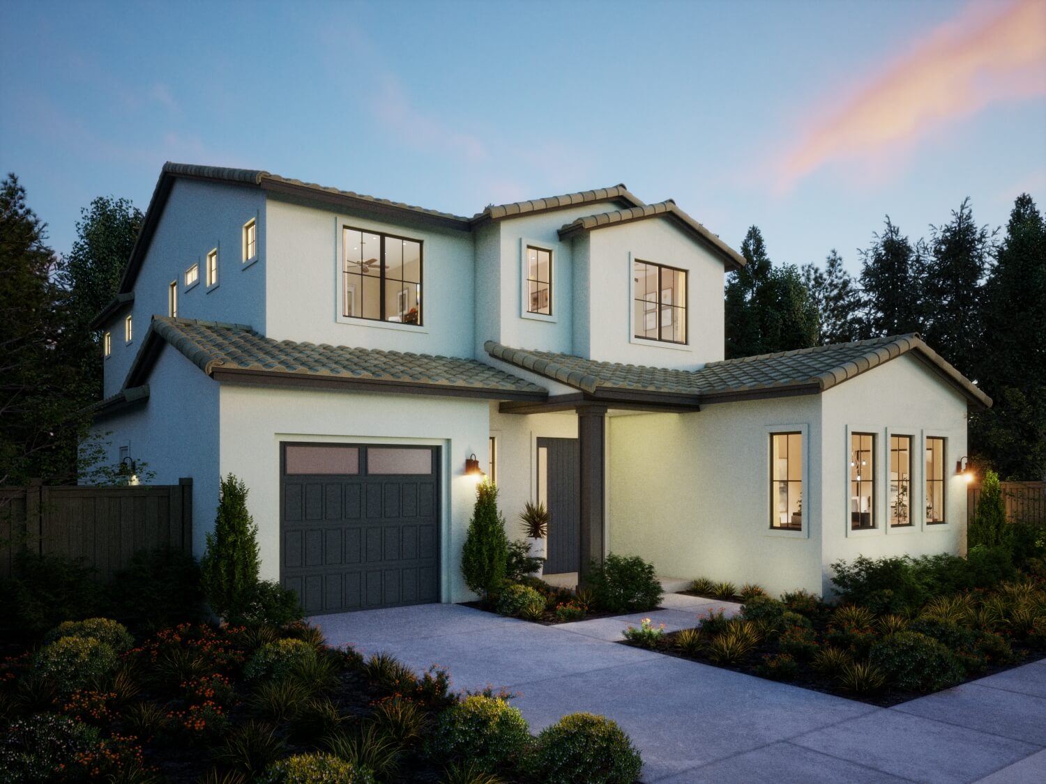 Northern California – Sequoia – Transitional