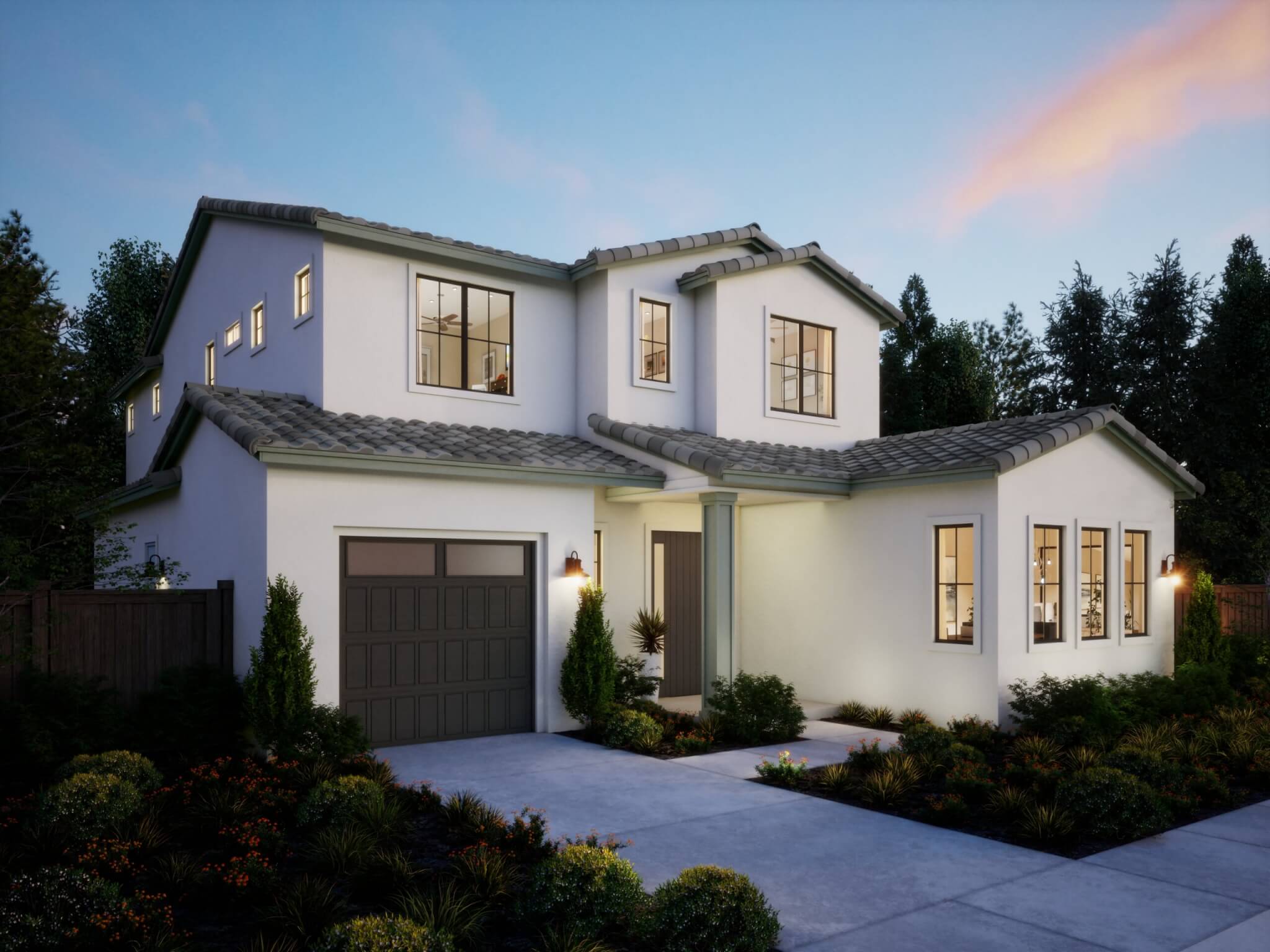 Northern California – Sequoia – Transitional