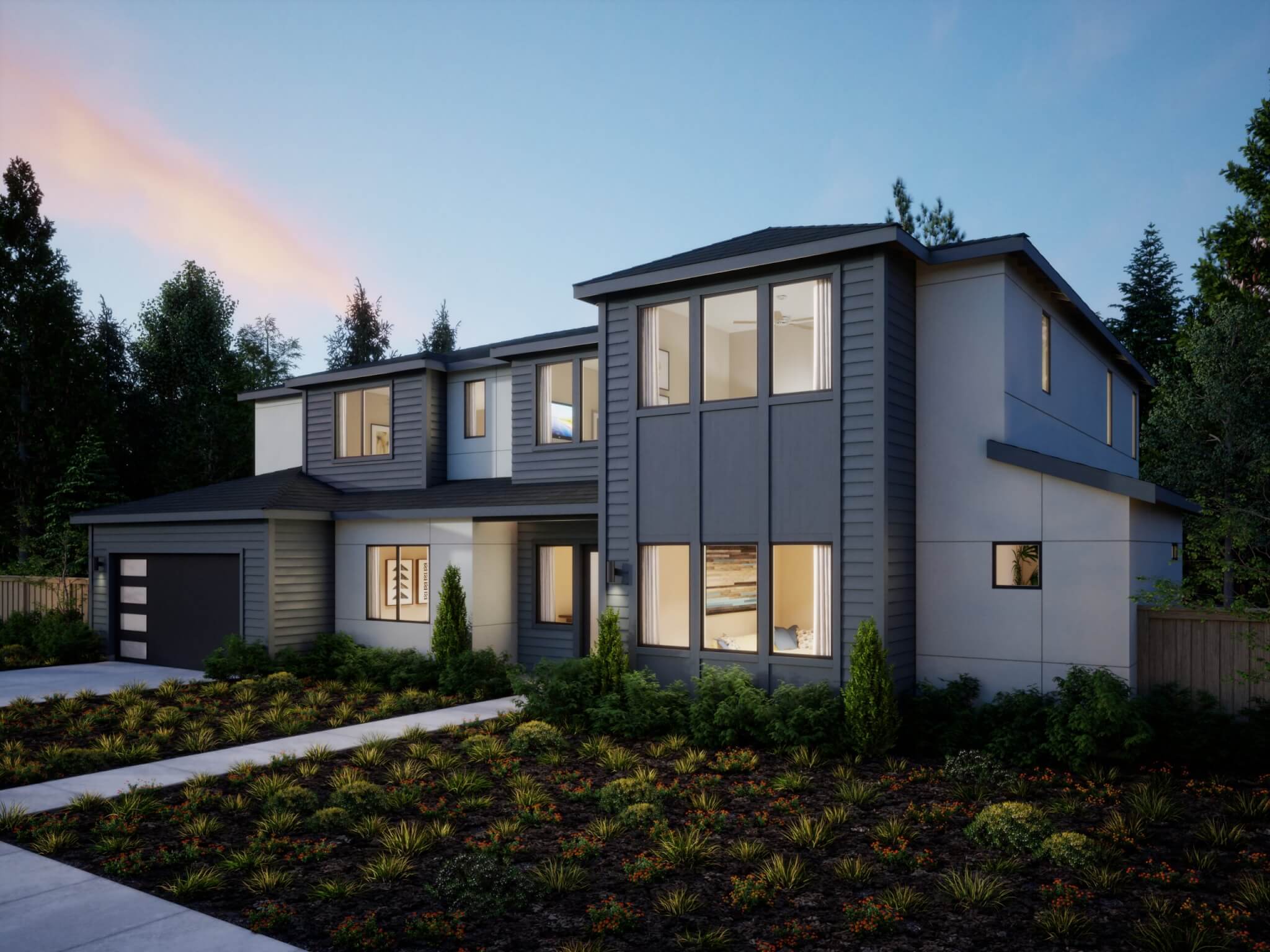 Northern California – Grand Fir – Transitional