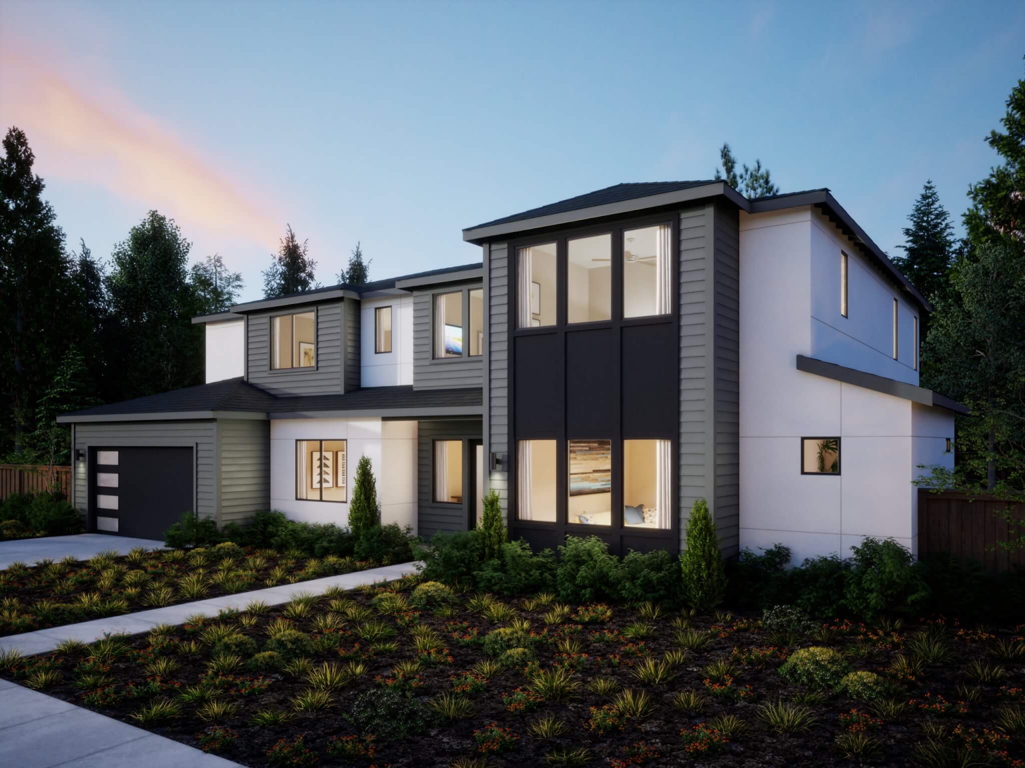 Northern California – Grand Fir – Transitional