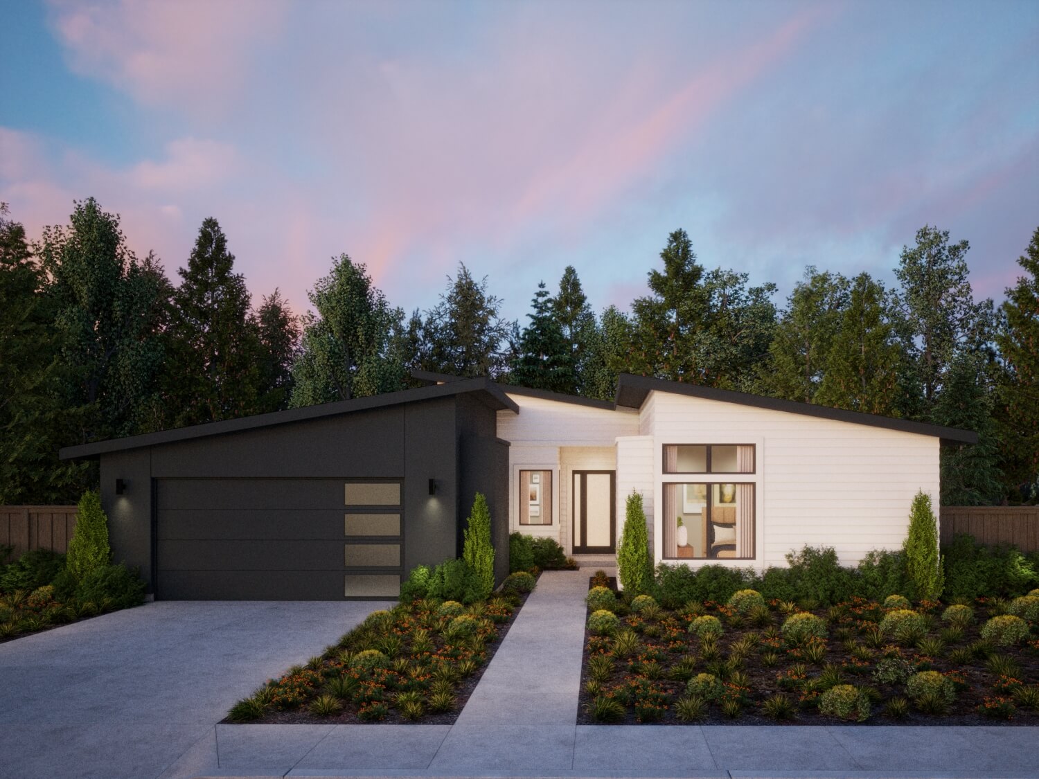 Northern California – Coffeeberry – Modern