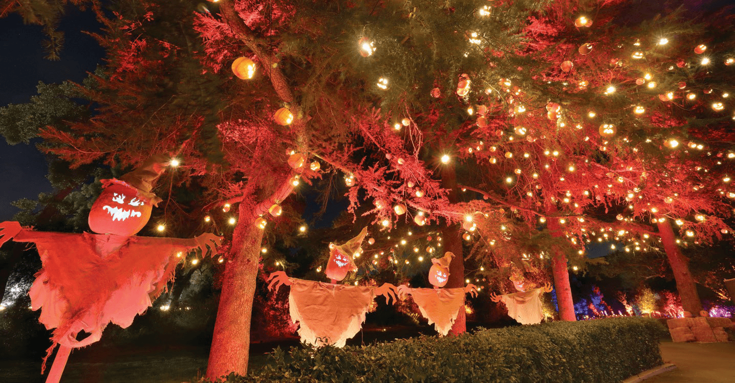 fall event in calabasas with thousands hand-carved jack-o-lanterns